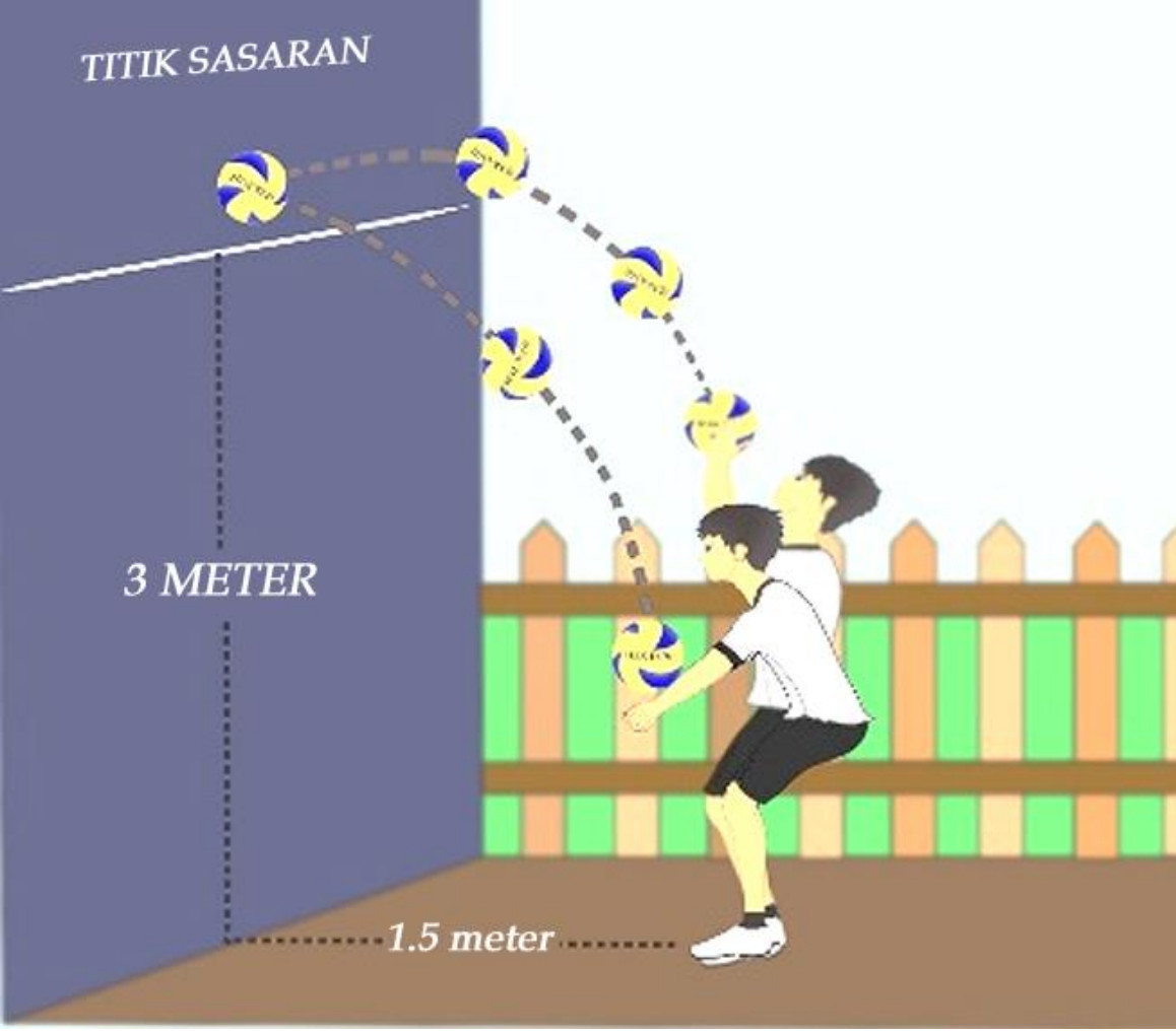 Эффективность обучения передаче мяча в волейболе у студентов на основе веб-сайта